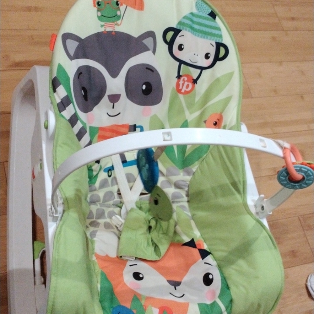 Fisher Price bouncer